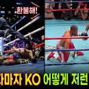 KO복싱 이미지