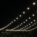 2022 어쿠스틱 루프탑 콘서트 이미지