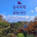 온누리 펜션 이미지