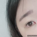 다비치안경작전점 | 다비치마켓 렌즈 3DAY 뜨레뷰 팔레트 브라운 착용 후기 작전점 예약 방문