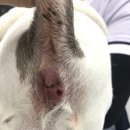 토곡동물병원 이미지