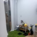 풍무두피관리 [숲칼프 풍무점]힐링타임, 두피 관리 받고 온 자세한 후기 review
