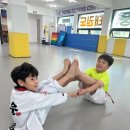 국가대표영웅태권도 이미지