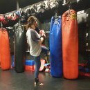 익사이팅 펀치 짐 이미지