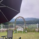 푸른뜰독채펜션 이미지