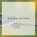 굿투그레이트