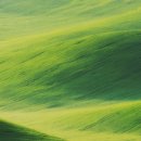 (주)다이렉트미디어 이미지