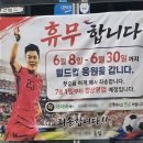 국대급 선구안.jpg 이미지
