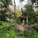 비블리아성서식물원 이미지