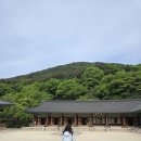 편백지 | 스빵일상-최은영 백지 앞에서를 읽고(외모정병)