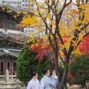 꽃님케이크 | 드디어 나도 돌끝맘 [웨스틴조선호텔/홍연/돌잔치/도로시스냅/꽃님이모] - 돌상 비추업체 포함