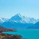 허니즈의원 이미지