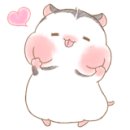 셀세모(포항우창점) 이미지