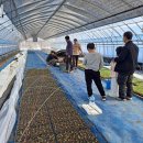 태동농장2 이미지