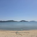 파도리 정류소 Daum카페
