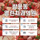 딸기치과의원 네이버블로그