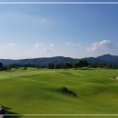 (주)포스코와이드(잭니클라우스골프클럽코리아) 네이버블로그