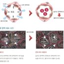 성안약국 이미지