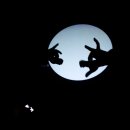 책읽는 마수리와 쉐도우 마왕 이미지