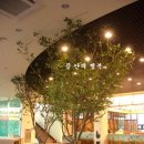 뜰안의행복 이미지