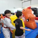 경희대 수청태권도 이미지