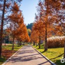 통영RCE세자트라센터 | 통영 RCE 세자트라숲 지속가능한 삶을 배우는 공간