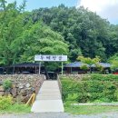 정자나무 고깃집 막국수 이미지