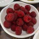 참살이토속청국장 이미지