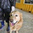 인월동물병원 이미지