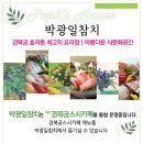 박광일참치 이미지