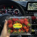 성정빨래방 | 5월 안녕?