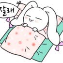 더원푸드 네이버블로그