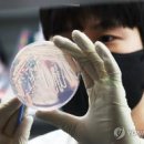KB 식품제조 이미지