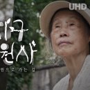 [SUB] 지구정원사 2부. 정원으로 가는 길 | UHD 다큐멘터리 이미지