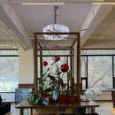 상태길 | [경기 광주 애견동반 카페] 분당 근교 대형 애견동반 카페 "무공간" 내돈내산 솔직후기