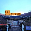 신흥사 구 대웅전 단청반자 | &#34;신라의 숨결을 간직한 울산 신흥사 탐방기&#34;