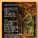 가을은 칵테일 한 잔 같다 - 최옥 이미지