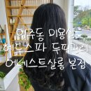 살롬미용실 - 은평구 서오릉로17길 18-12 | 염주동 미용실 헤드스파 두피관리 어네스트살롱