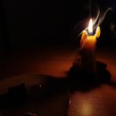 처연의 소리 이미지