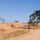 삼한시대 이미지