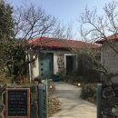 [제주] 협재 한림 맛집 48시간 숙성 도우 “시에나 샌드위치샵” 내돈내산 후기