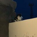 스테이더담 매전점 이미지