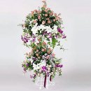 논현2동-11 이미지