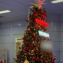 두근두근한의원 | 인천검단다이어트한의원 2주차 후기