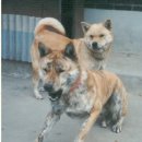 무지개카페 - 세종특별자치시 죽림로 25 | 무지개카페