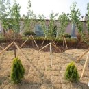 다미안아파트 이미지