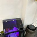 신종훈 복싱클럽 이미지