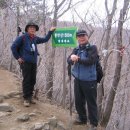 수원-1111 이미지