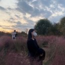 미네트워크 이미지