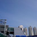 일광보리밥 이미지